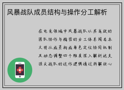 风暴战队成员结构与操作分工解析
